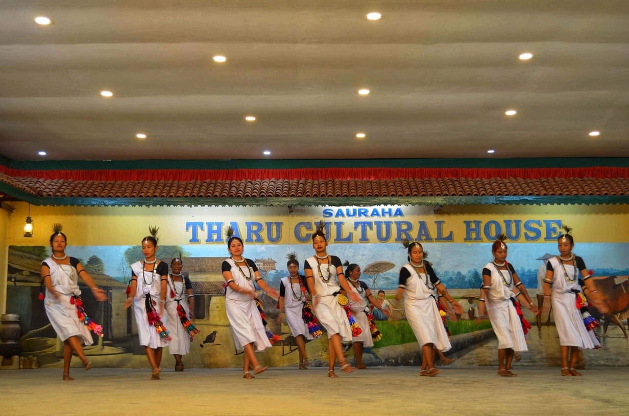 chitwan tharu cultural dance