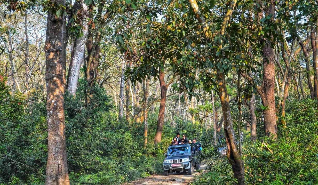 Jeep safari in Chitwan National Park