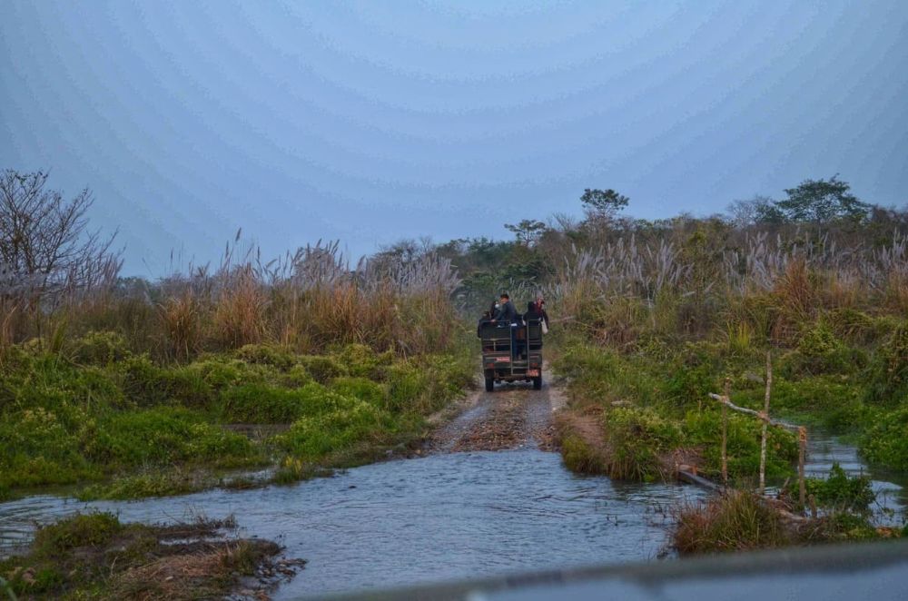 Jeep safari tour in Chitwan National Park Nepal